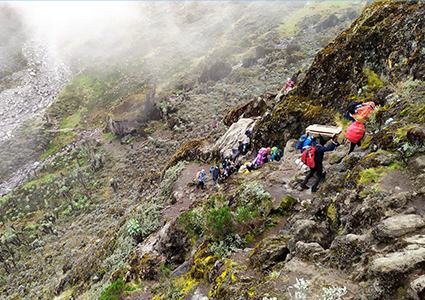 Kilimanjaro Trekking Umbwe Route
